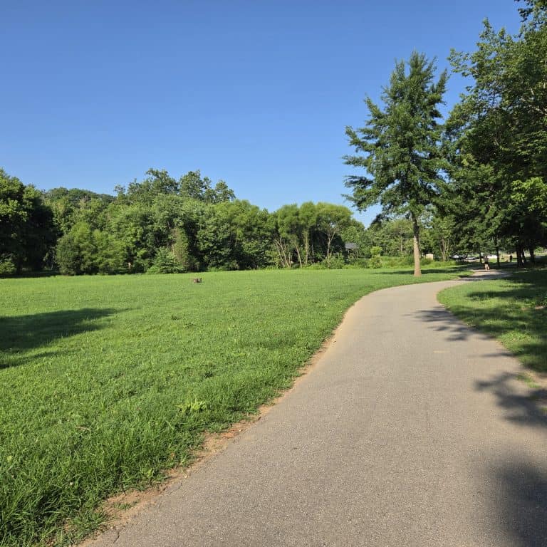 Grassy, paved path at Carrier Park along French Broad River Greenway